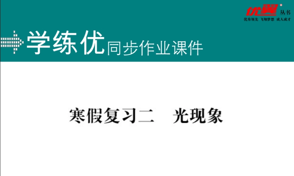 寒假复习2光现象.pptx