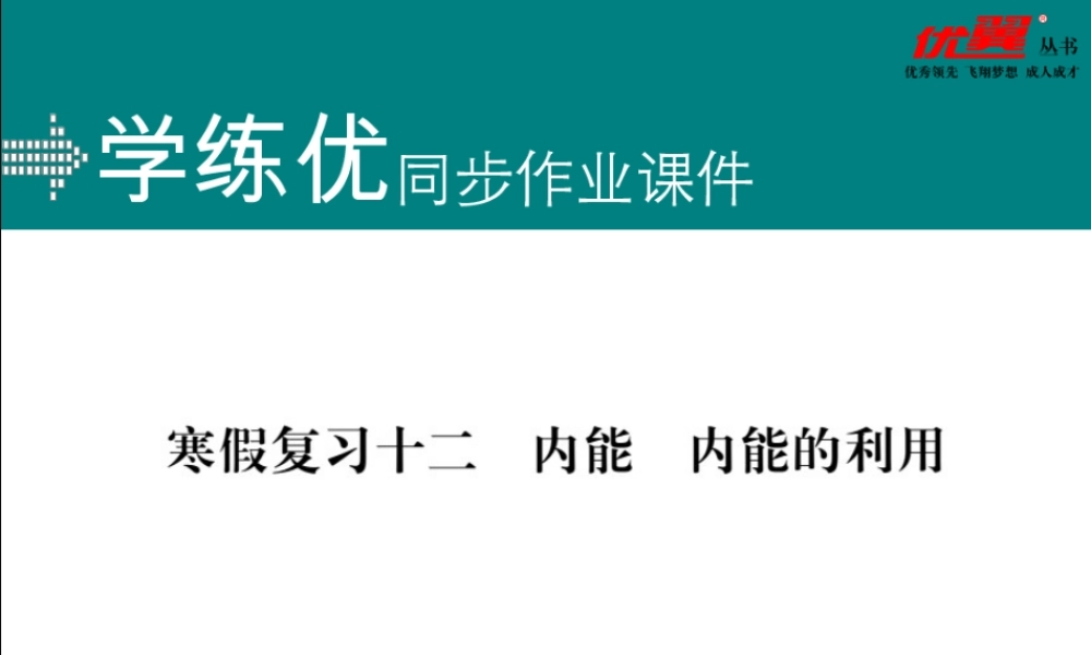 寒假复习12内能内能的利用.pptx