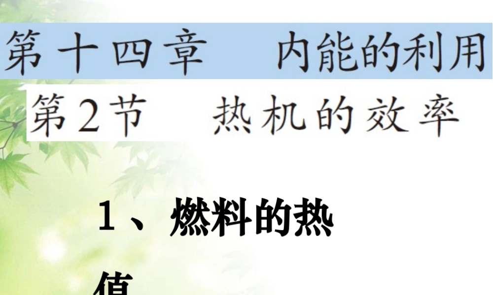 九年级物理全册第14章《内能的利用》第2节《热机的效率》课件.ppt