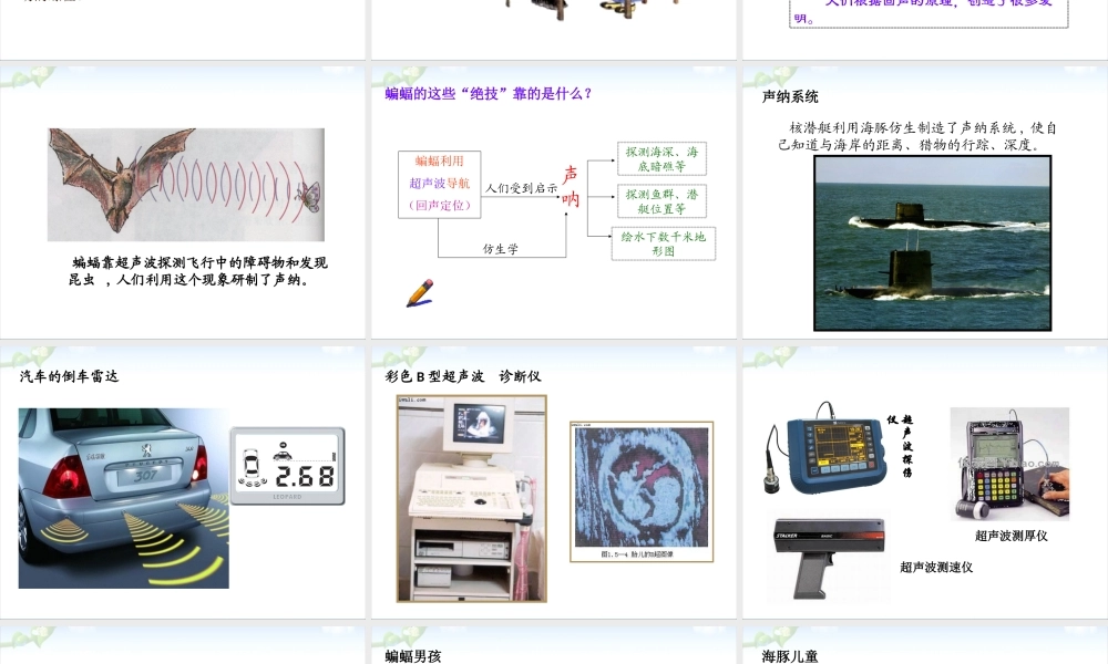 人教版《2.3声的利用》ppt课件.ppt