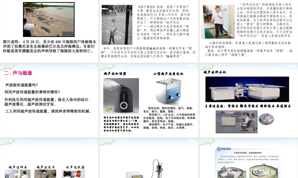 人教版《2.3声的利用》ppt课件.ppt