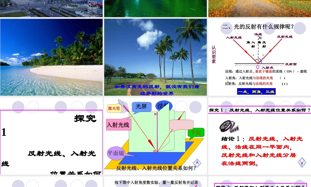 人教版1《4.2光的反射》ppt课件.ppt