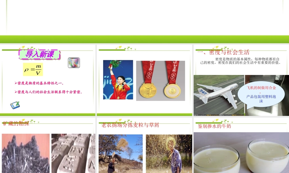 人教版八年级物理第六章第四节密度与社会生活.ppt