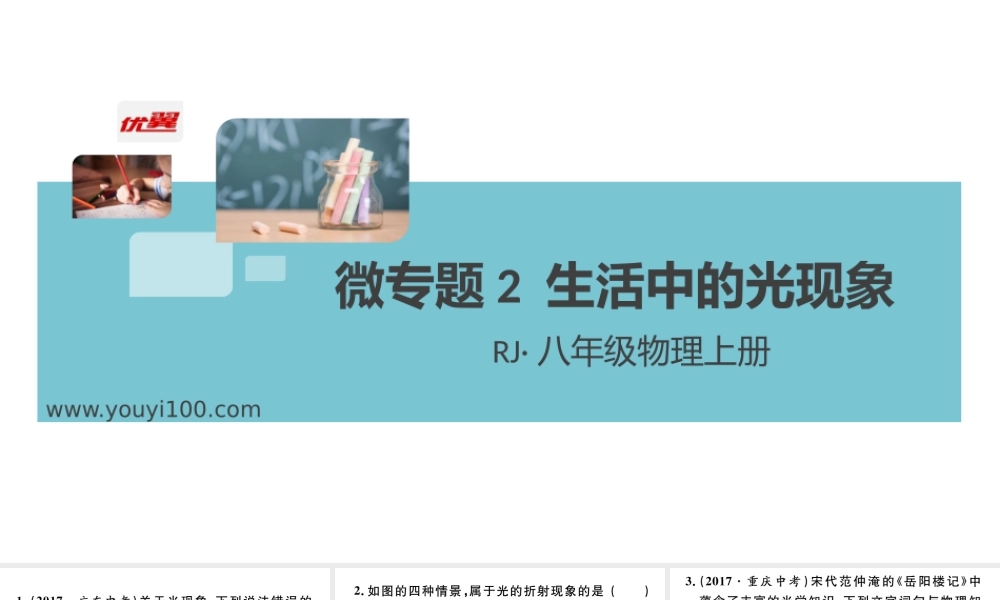 微专题2 生活中的光现象 .pptx