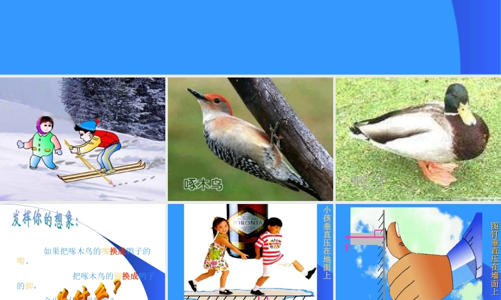 人教版八年级物理下册第九章第一节压强课件(最新修改).ppt