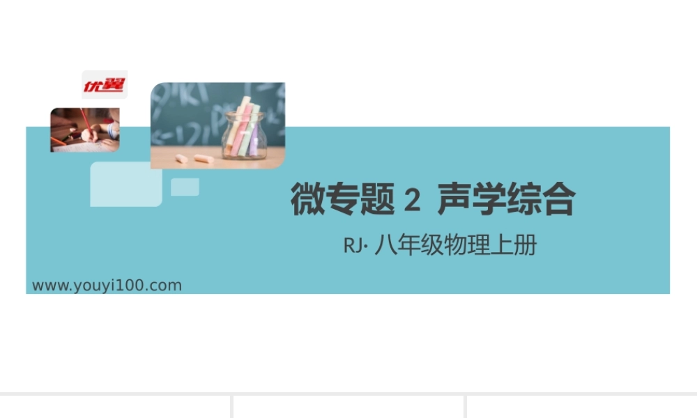 微专题2 声学综合.pptx