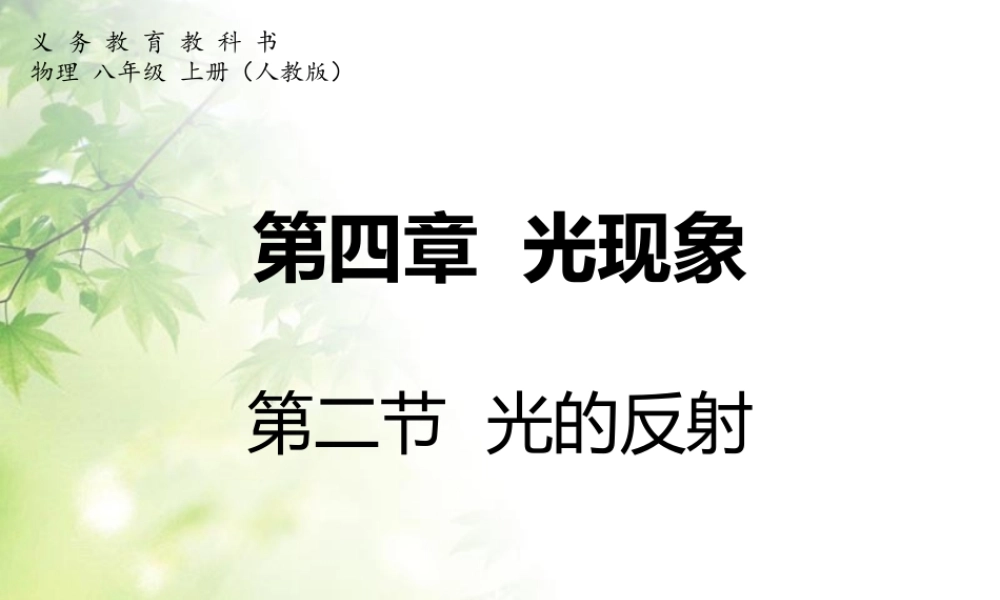 新人教版《4.2光的反射》.ppt