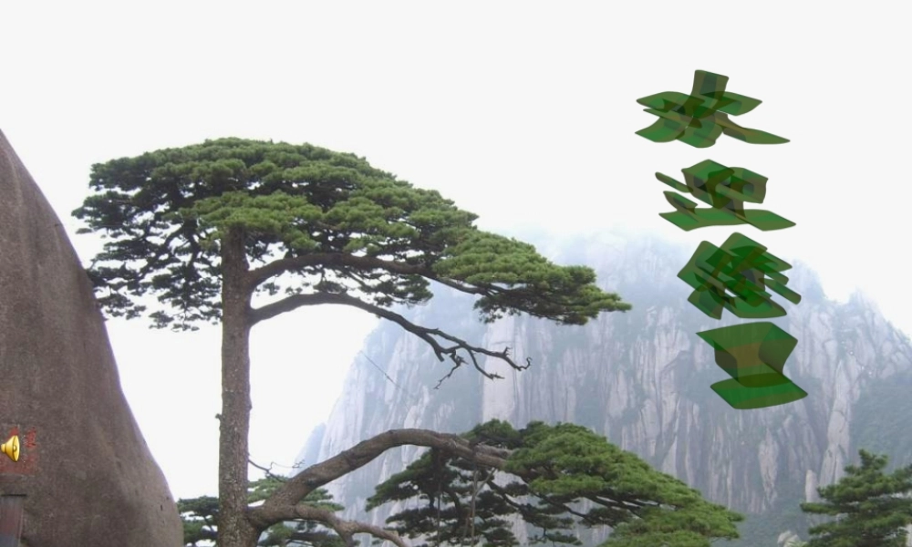 新教材八年级物理下册第七章第三节重力课件.ppt