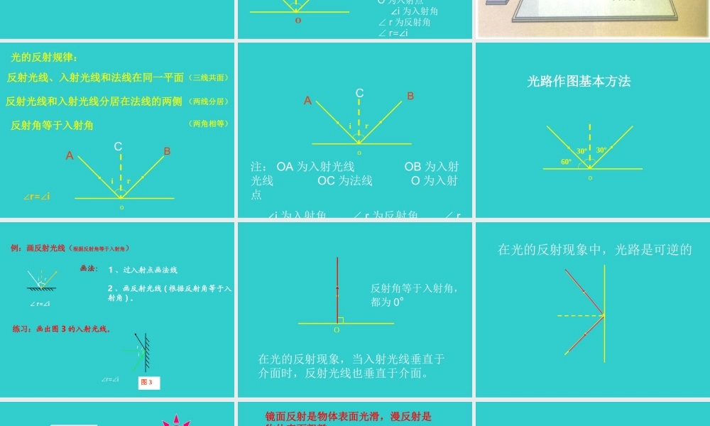 新人教版八年级物理上册《4.2_光的反射》课件(12).ppt