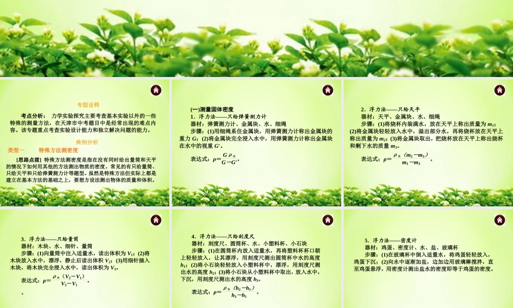 中考物理专题复习《专题3_力学实验探究》ppt课件.ppt