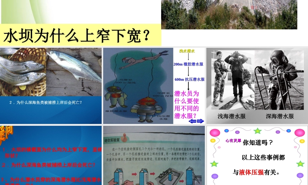 最新人教版物理八年级下册第九章第二节液体压强课件0.ppt