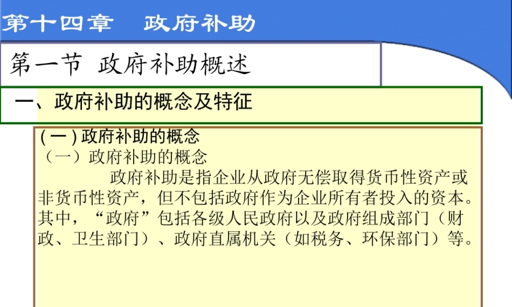 14政府补助.ppt