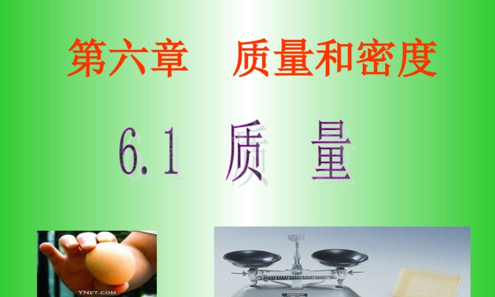 6.1质量 (6).ppt