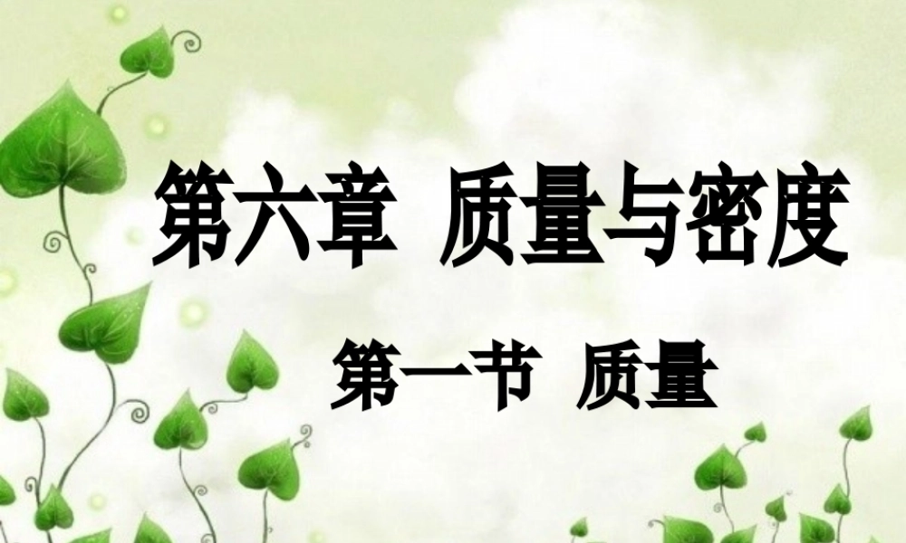 6.1_质量 (1).ppt