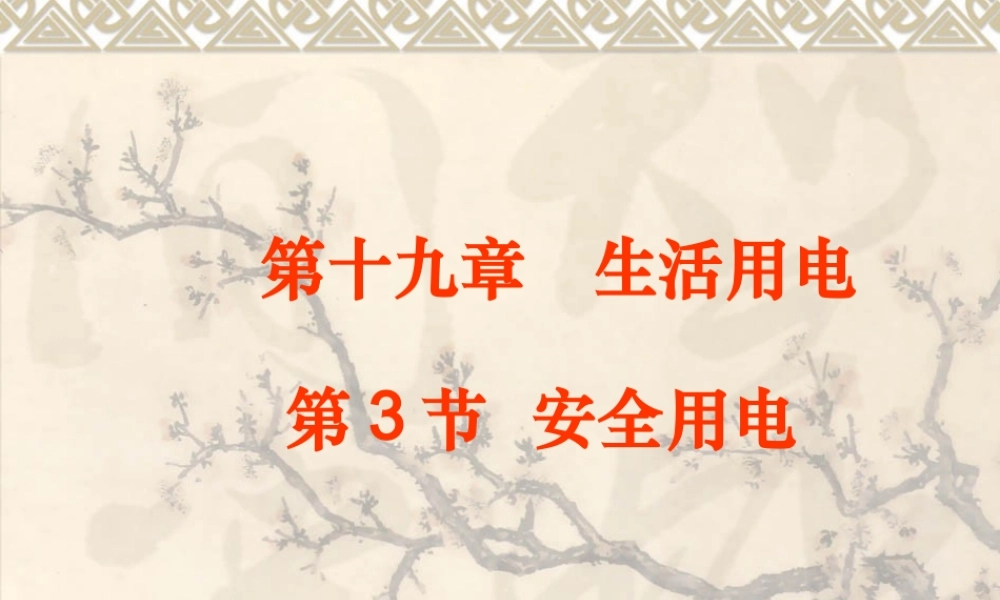 19.3安全用电 (2).ppt