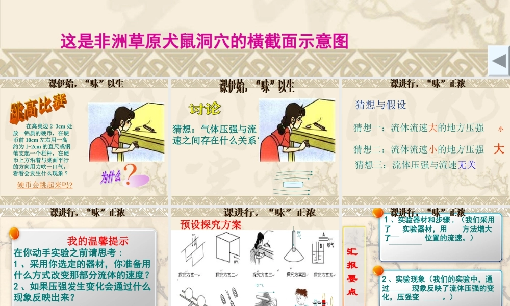 9.4流体压强与流速的关系课件(最新修改).ppt