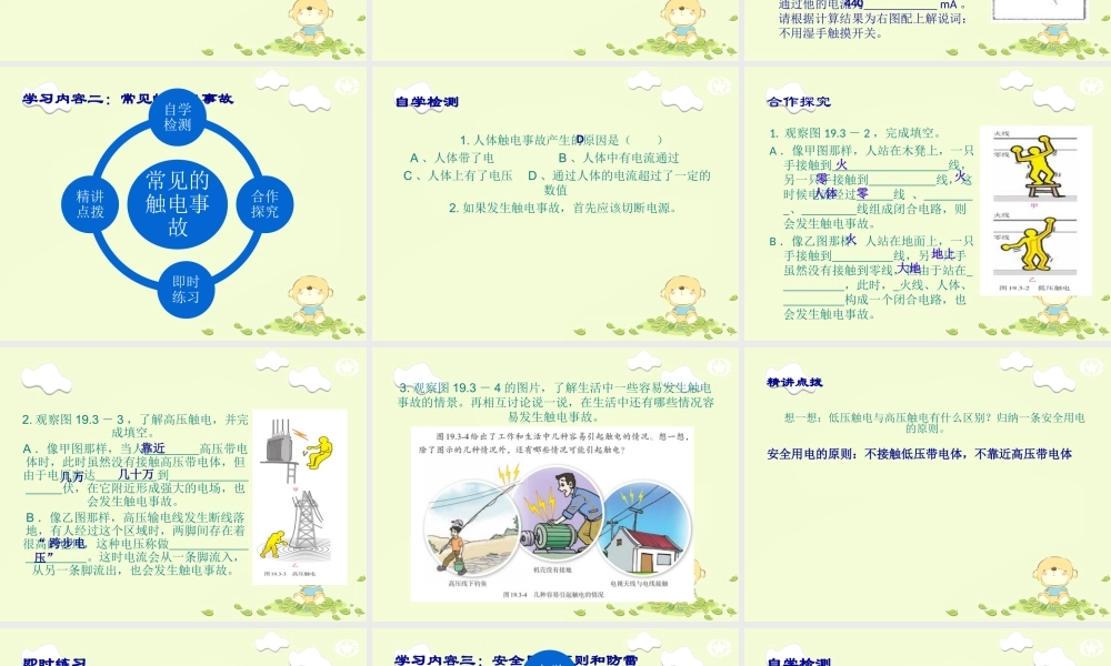 19.3_安全用电教学课件(自学检测+合作探究+精讲点波+即时练习)(新版)新人教版.ppt