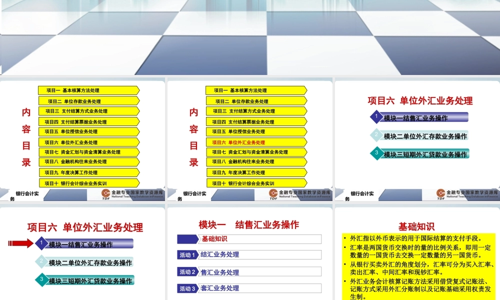 单位外汇业务处理.ppt