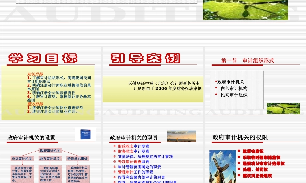 第2章审计组织形式与审计准则.ppt