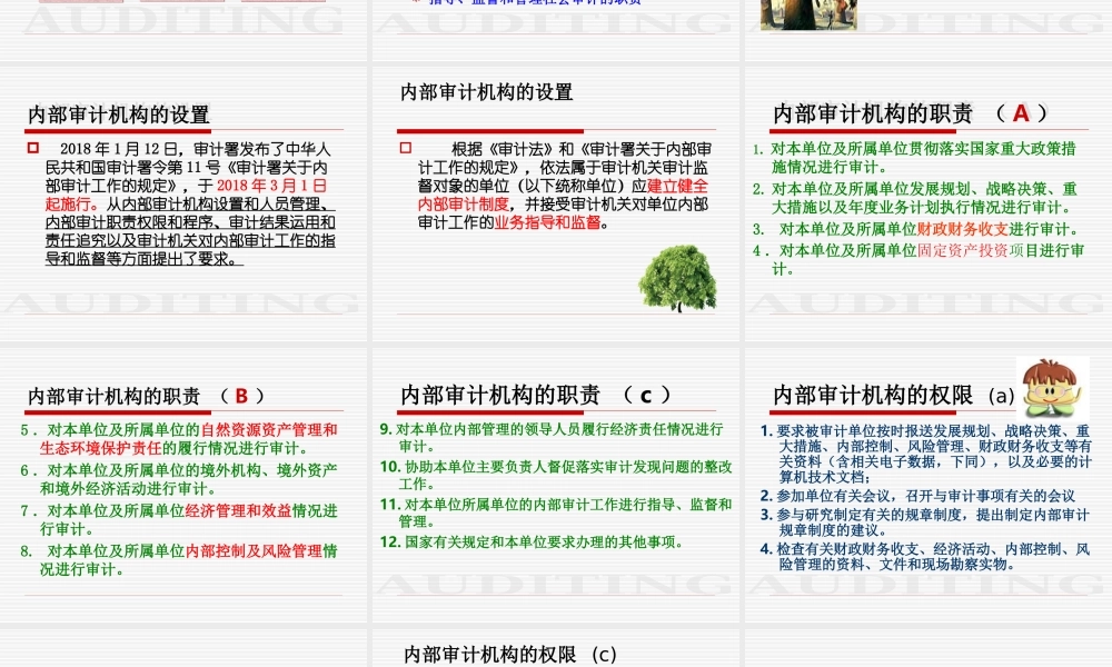第2章审计组织形式与审计准则.ppt