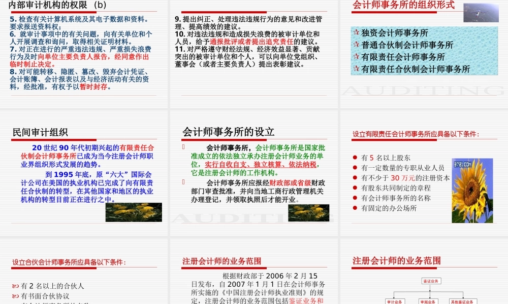 第2章审计组织形式与审计准则.ppt