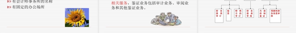 第2章审计组织形式与审计准则.ppt