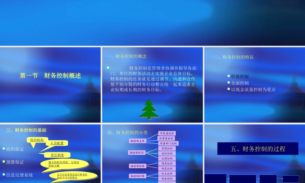 第4章 财务控制.ppt