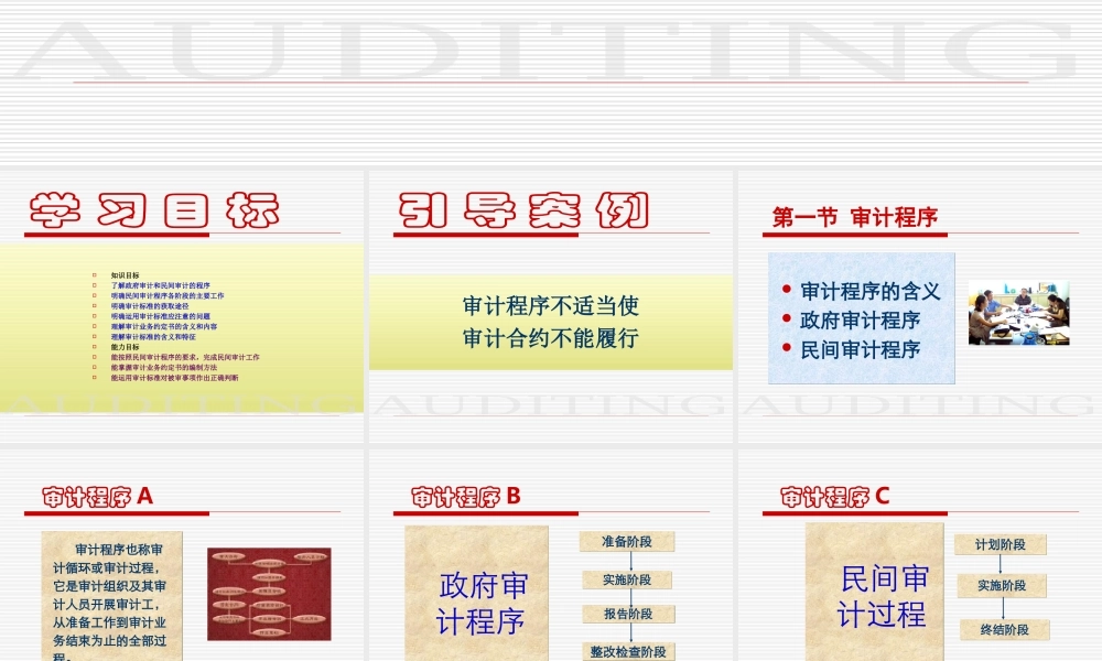 第3章审计程序与审计标准.ppt