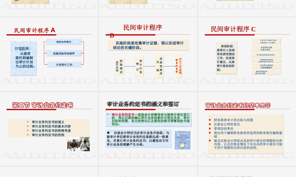 第3章审计程序与审计标准.ppt