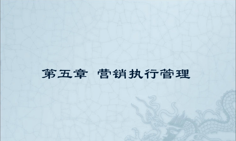 第5章营销执行管理.ppt