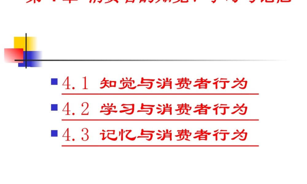 第4章 消费者知觉、学习与记忆.ppt