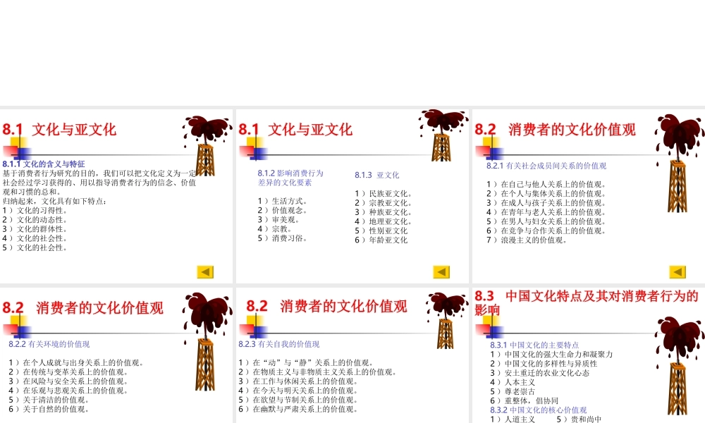 第8章 文化与消费者行为 .ppt
