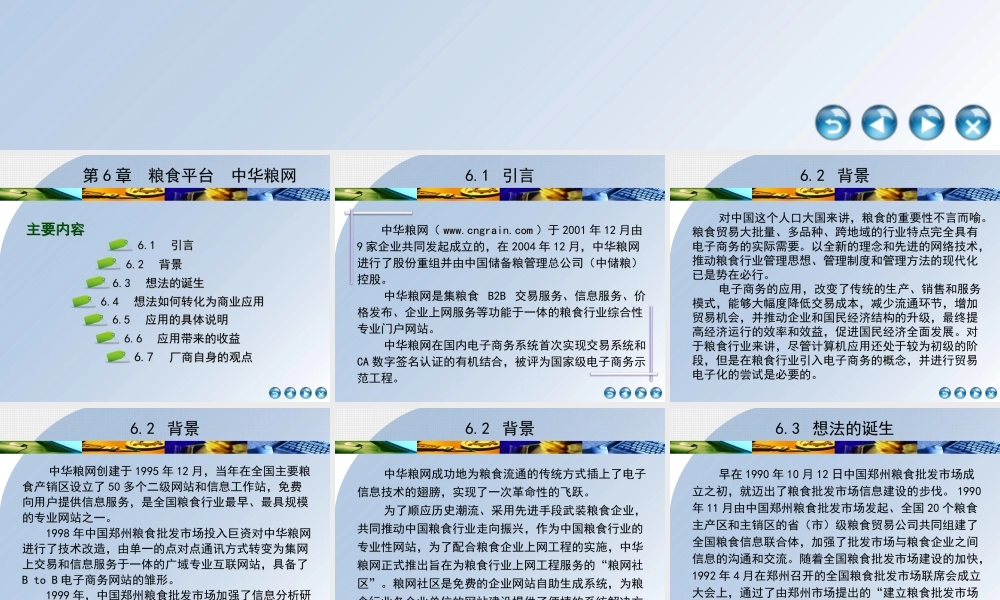 第6章粮食平台中华粮网.ppt
