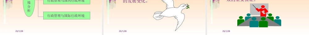 第二章 行政环境（幻灯片）.ppt