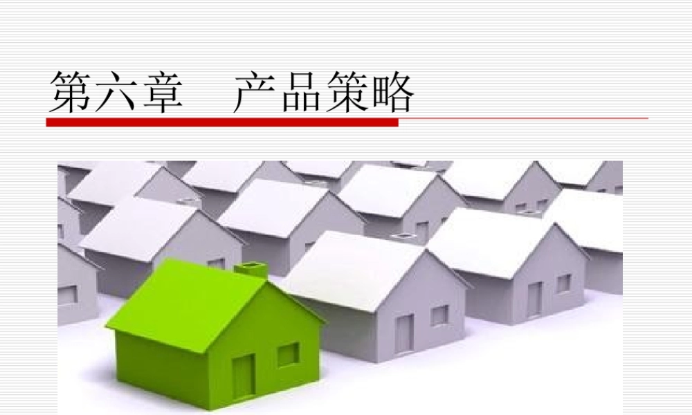 第六章产品策略.doc.ppt