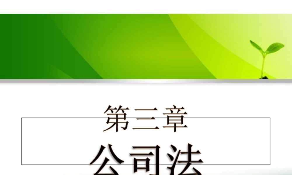 第三章公司法.ppt