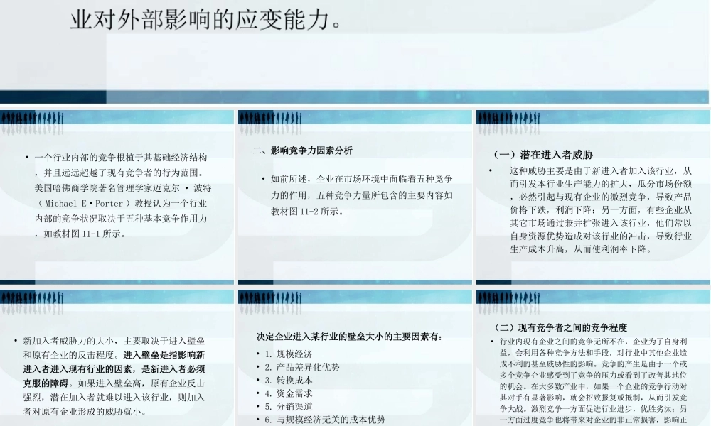 第十一章 商务企业竞争策略.ppt