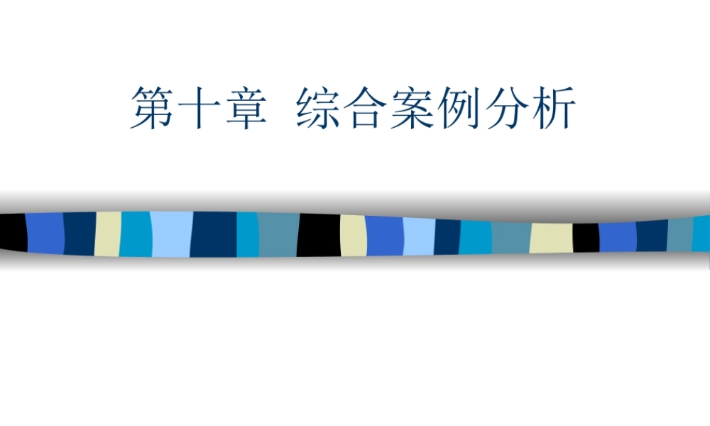 第十章 综合案例分析.ppt