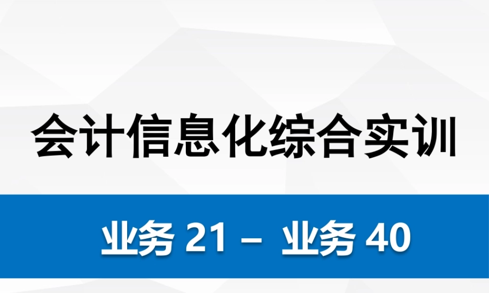 会计信息化综合实训 021-040.pptx
