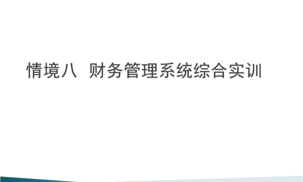情境八财务管理系统综合实训.ppt