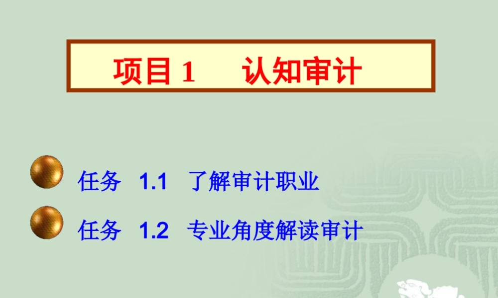项目1认知审计.PPT