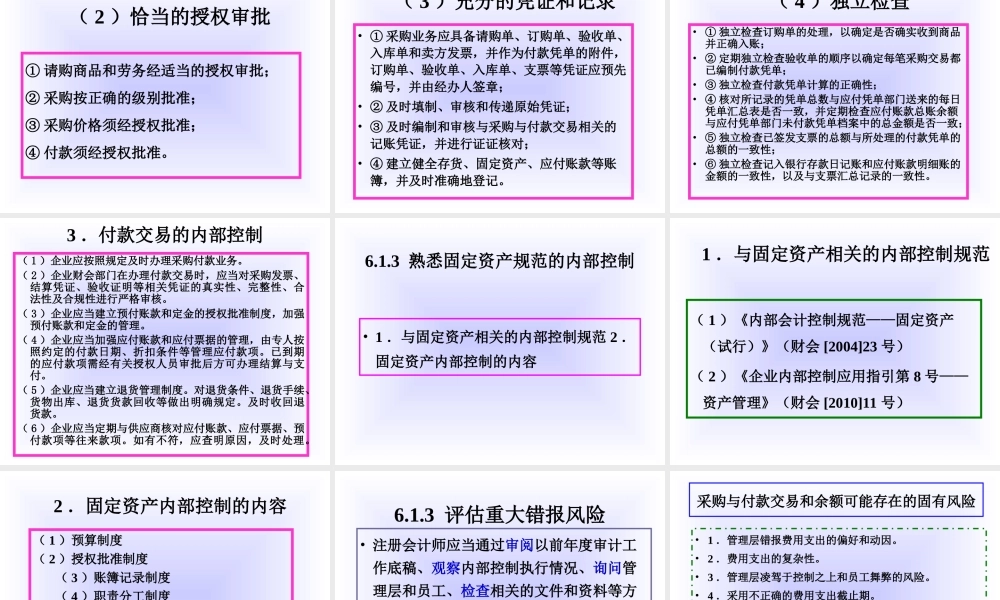 项目6采购与付款循环审计.ppt