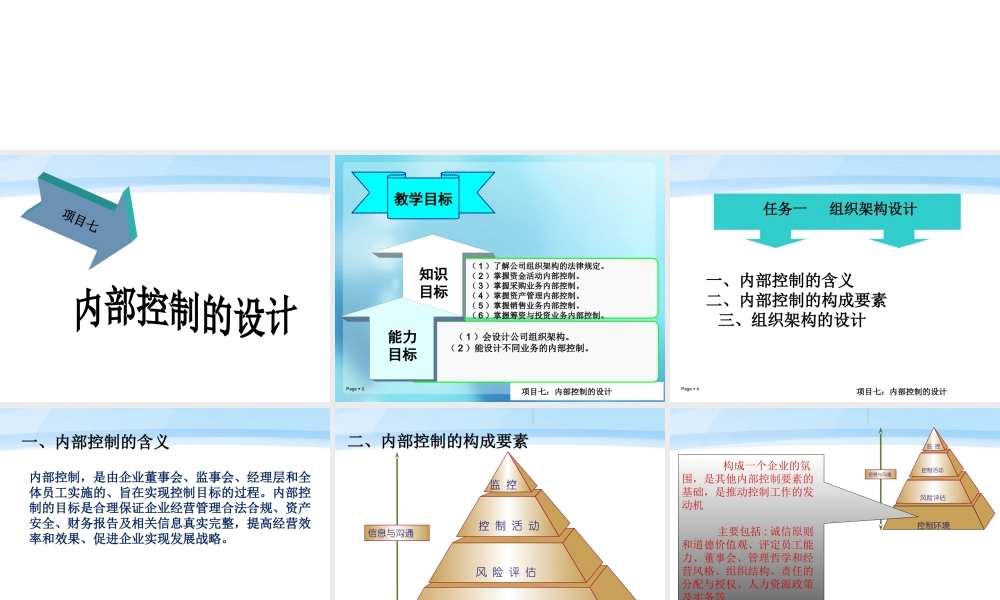 项目7：内部控制的设计.ppt