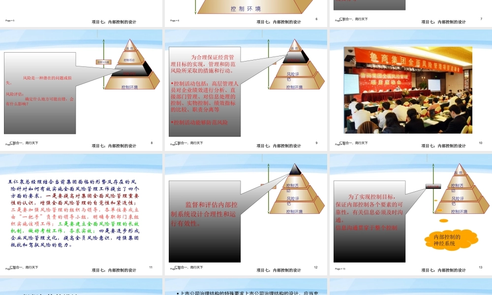 项目7：内部控制的设计.ppt