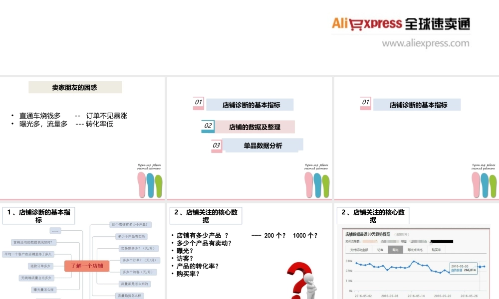 项目八 跨境电商数据分析之---店铺数据及单品数据分析配套课件（老师上课产品数据课件）.pptx