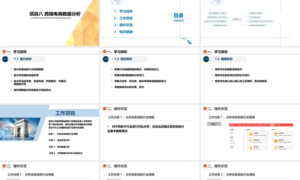 项目八 跨境电商数据分析.pptx
