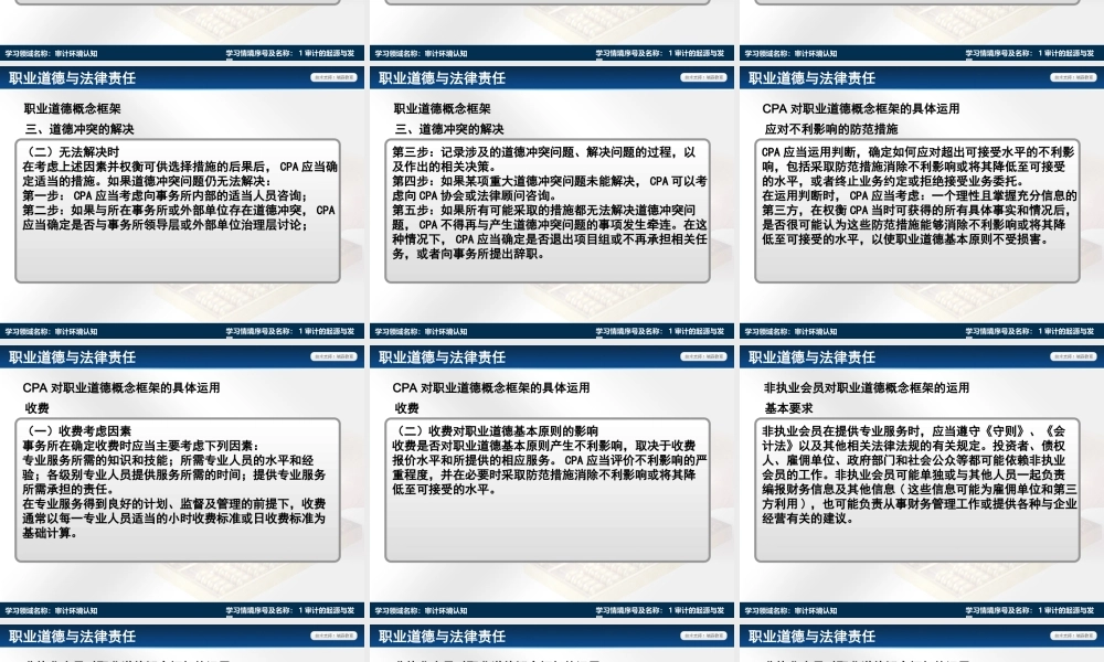 演示文稿 学习情境1-4-1 审计环境认知.ppt