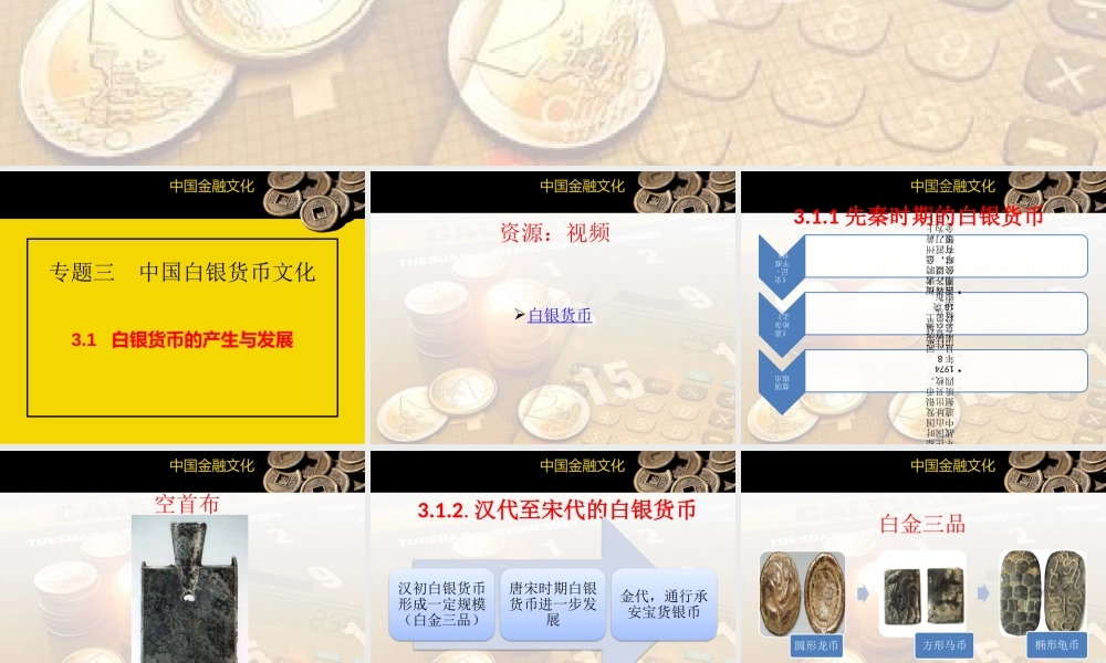 专题三中国白银货币文化(1).pptx