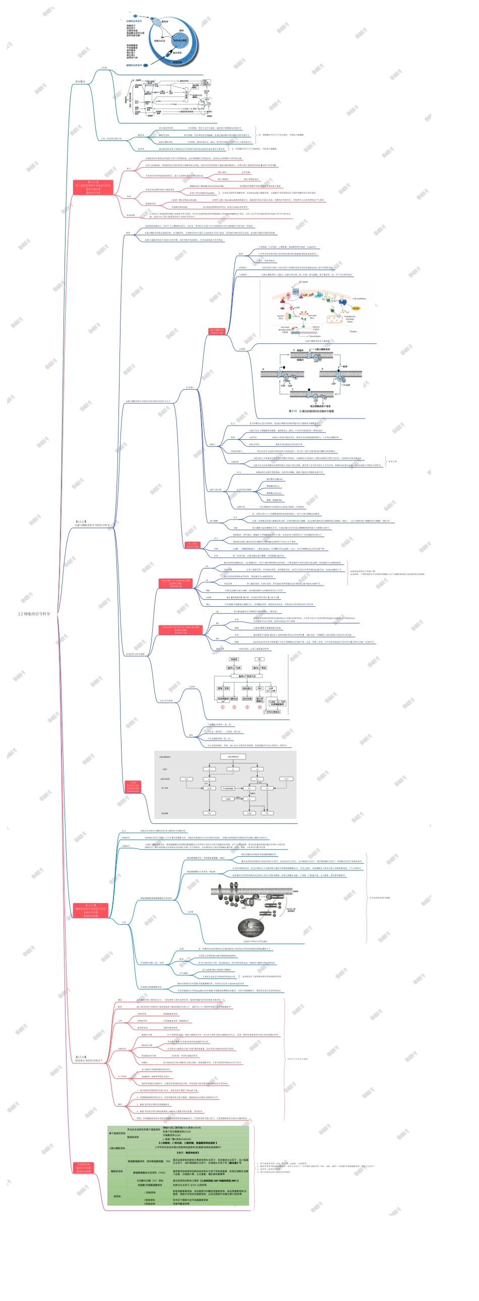 2.2 细胞的信号转导.pdf_第1页