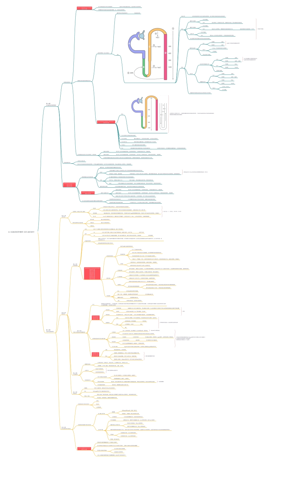 8.3 尿液浓缩和稀释的机制.pdf_第1页